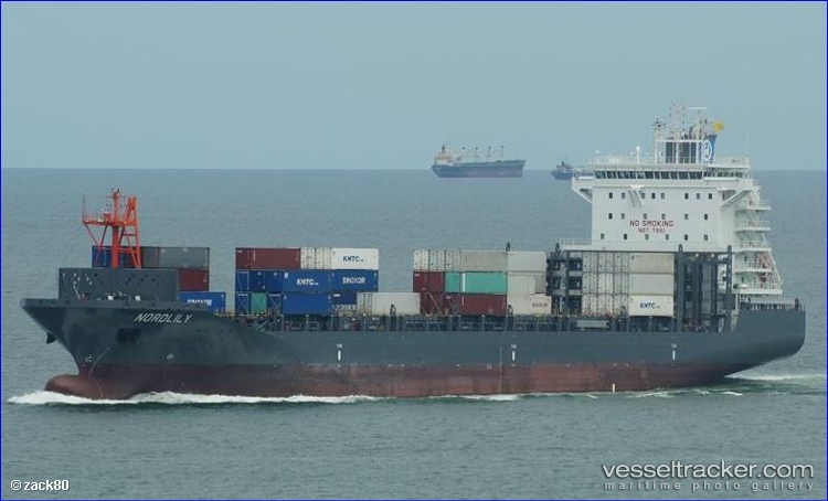 Tiger-Plata - Container Ship vessel