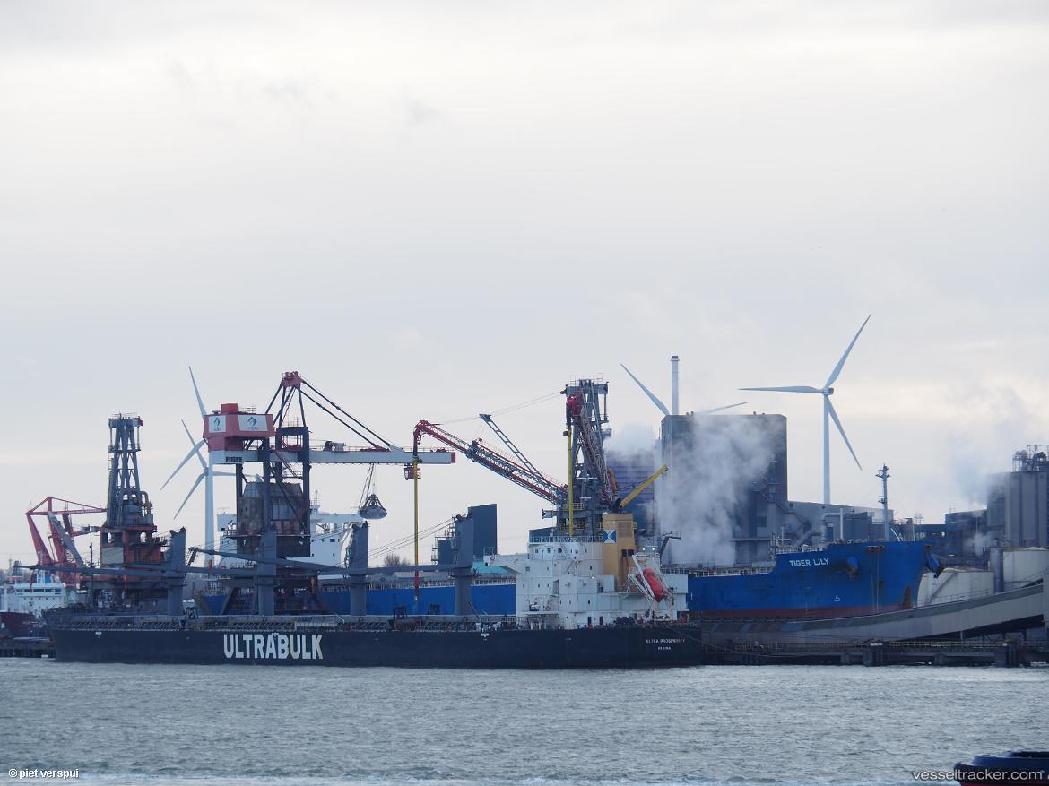 Tiger-Lily - Bulk Carrier vessel