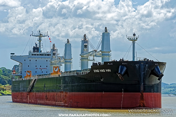 Pacific-Lily - Bulk Carrier vessel