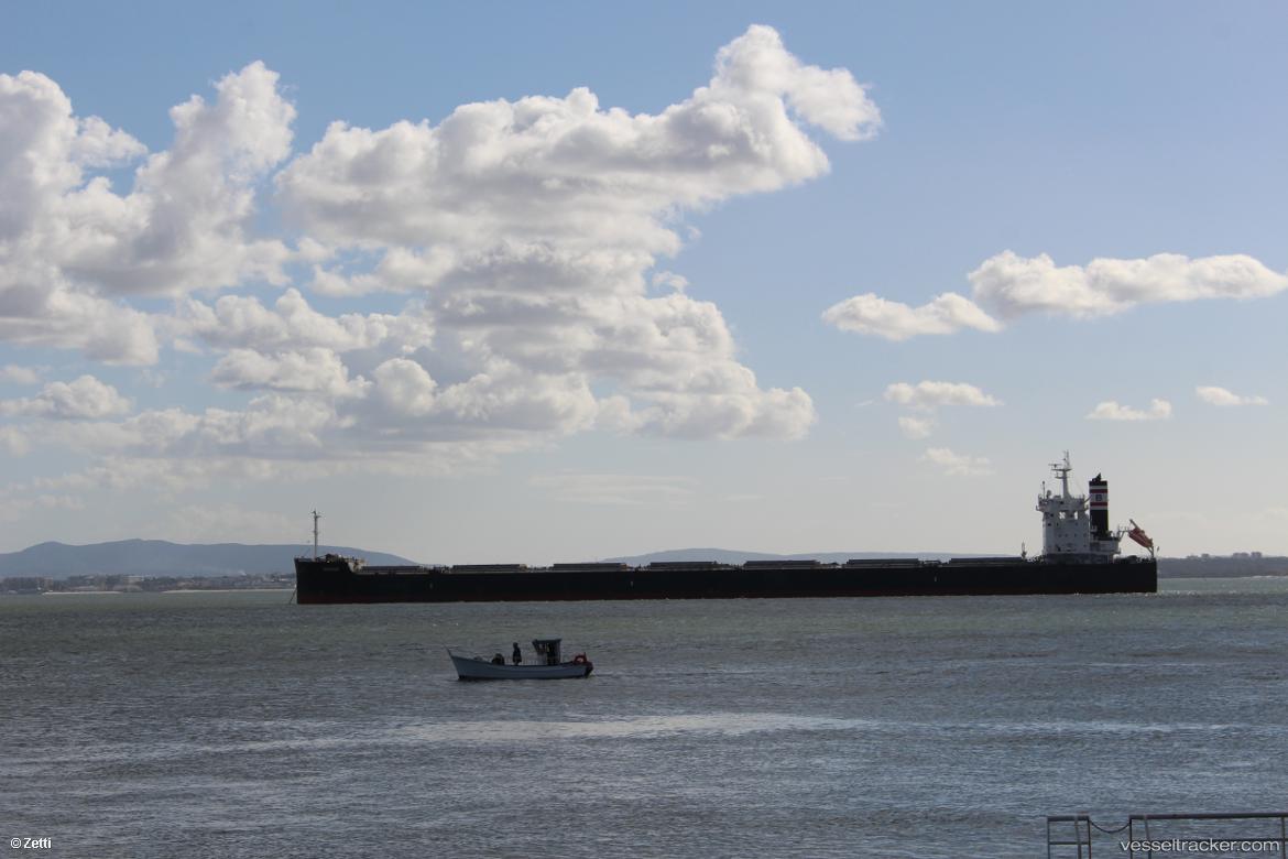 Beaver - Bulk Carrier vessel