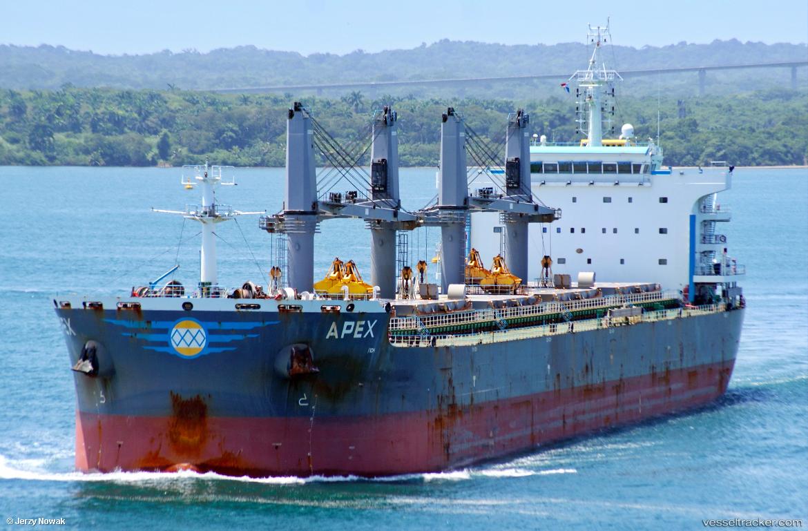 Apex - Bulk Carrier vessel