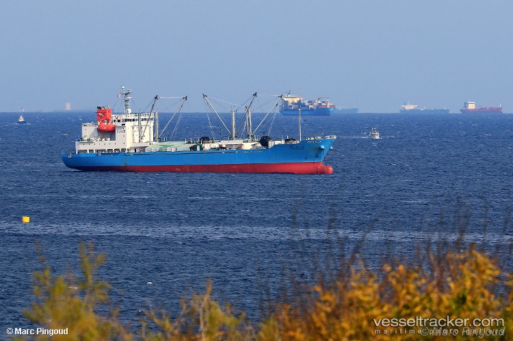 Goutamaru - Refrigerated Cargo Ship vessel