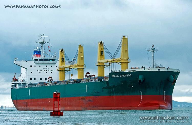 Ocean-Harvest - Bulk Carrier
