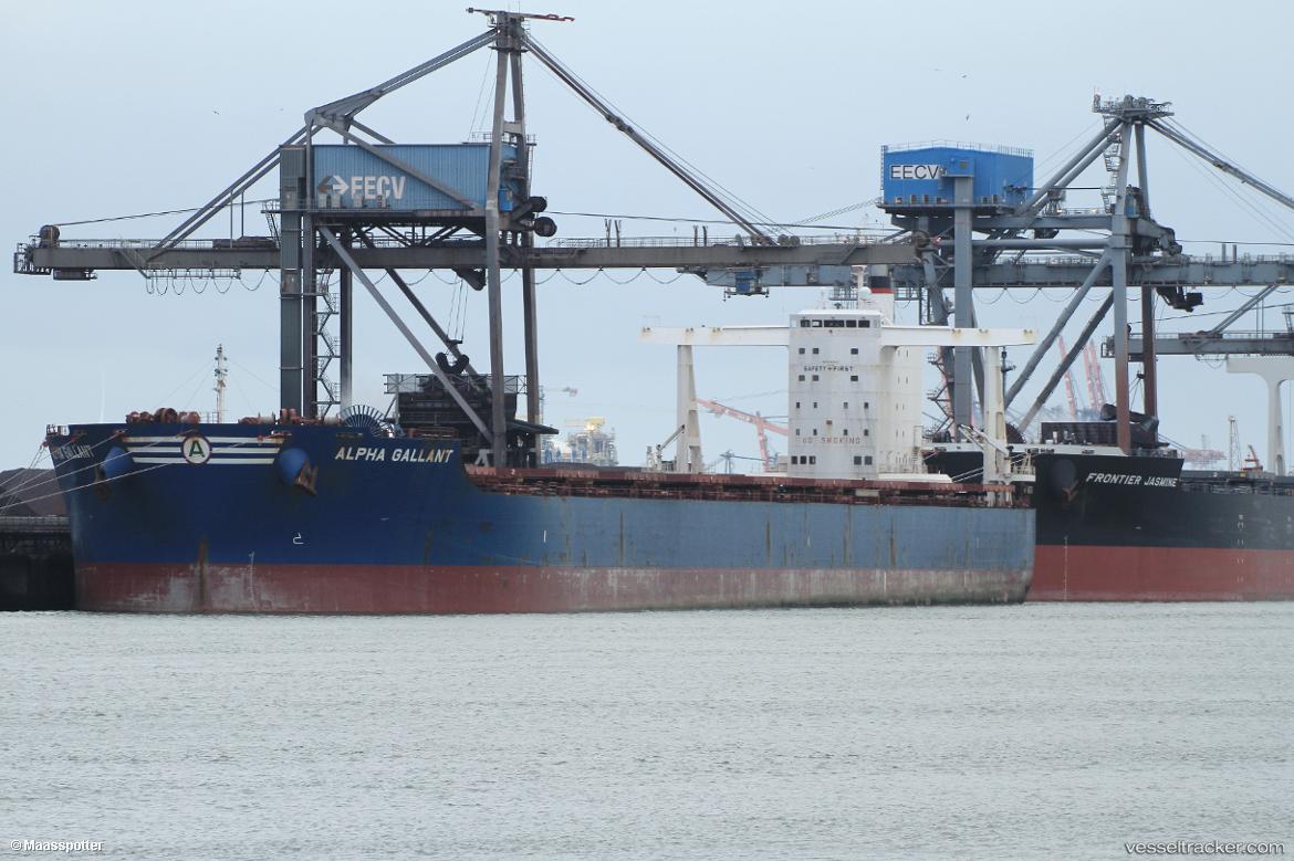 Alpha-Gallant - Bulk Carrier vessel