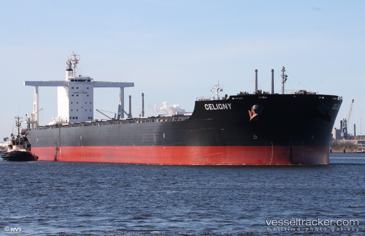 True-Captain - Bulk Carrier vessel