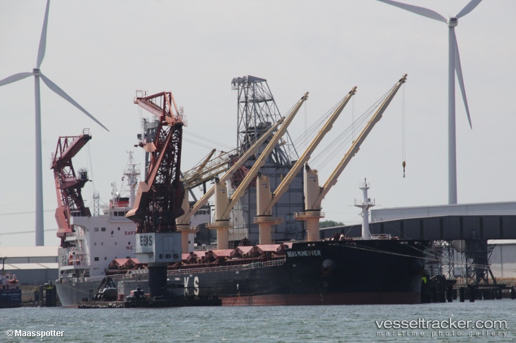 Flat - Bulk Carrier vessel