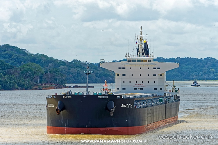 Amadeus - Bulk Carrier vessel