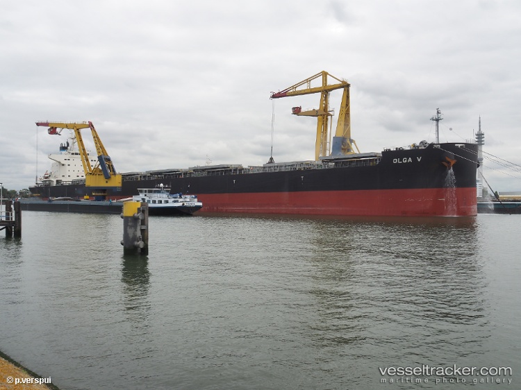 Delfin - Bulk Carrier vessel