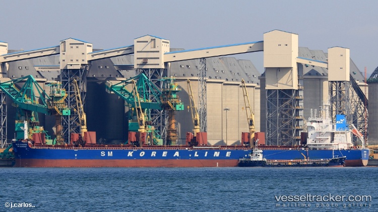 Sm-Diamond - Bulk Carrier vessel