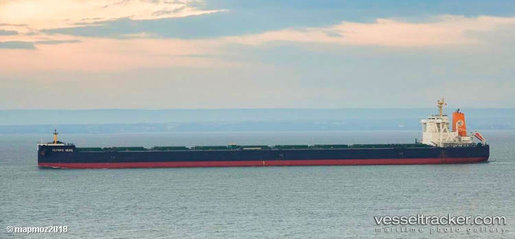 True-Cardinal - Bulk Carrier vessel