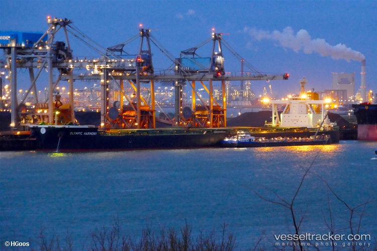 True-Courage - Bulk Carrier vessel