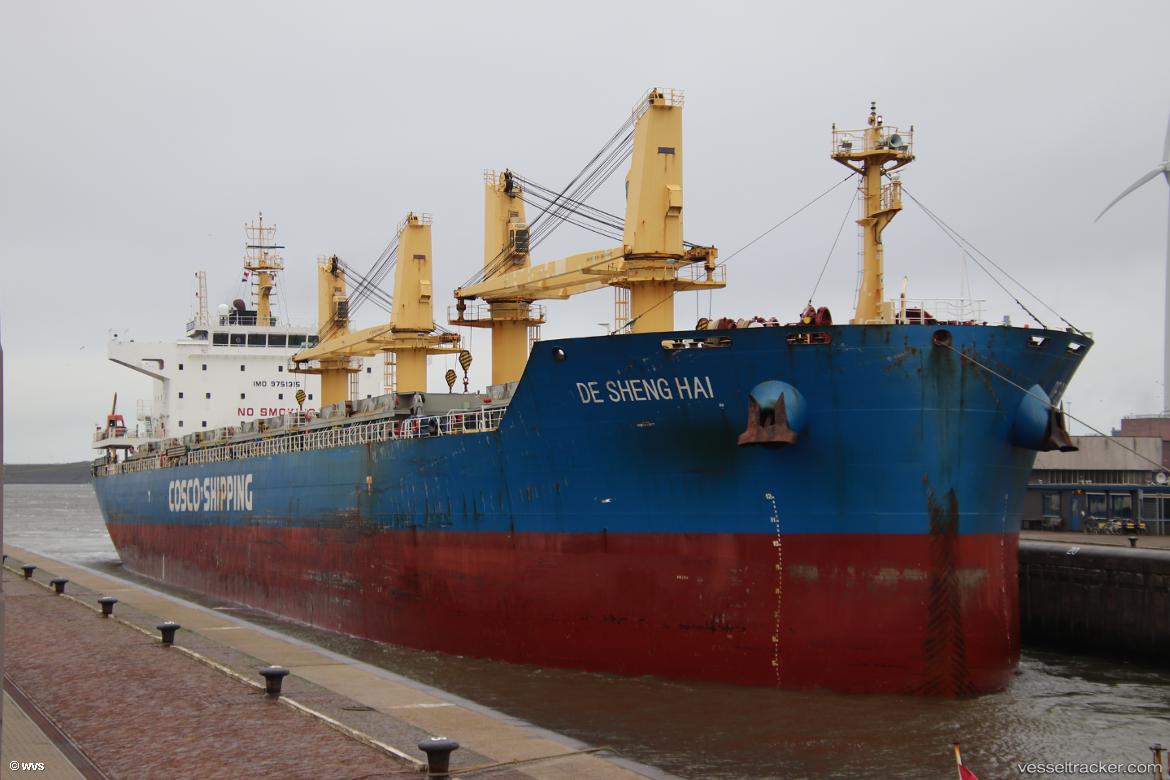 De-Sheng-Hai - Bulk Carrier vessel