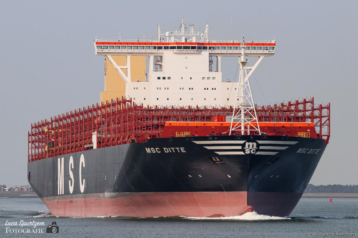 Msc-Ditte
