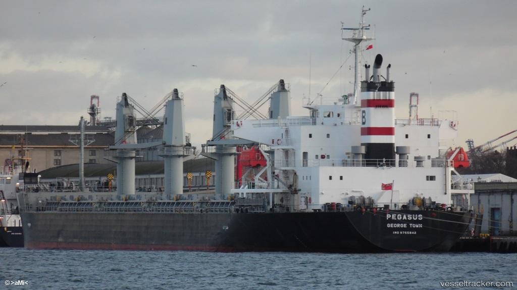 Pegasus - Bulk Carrier vessel