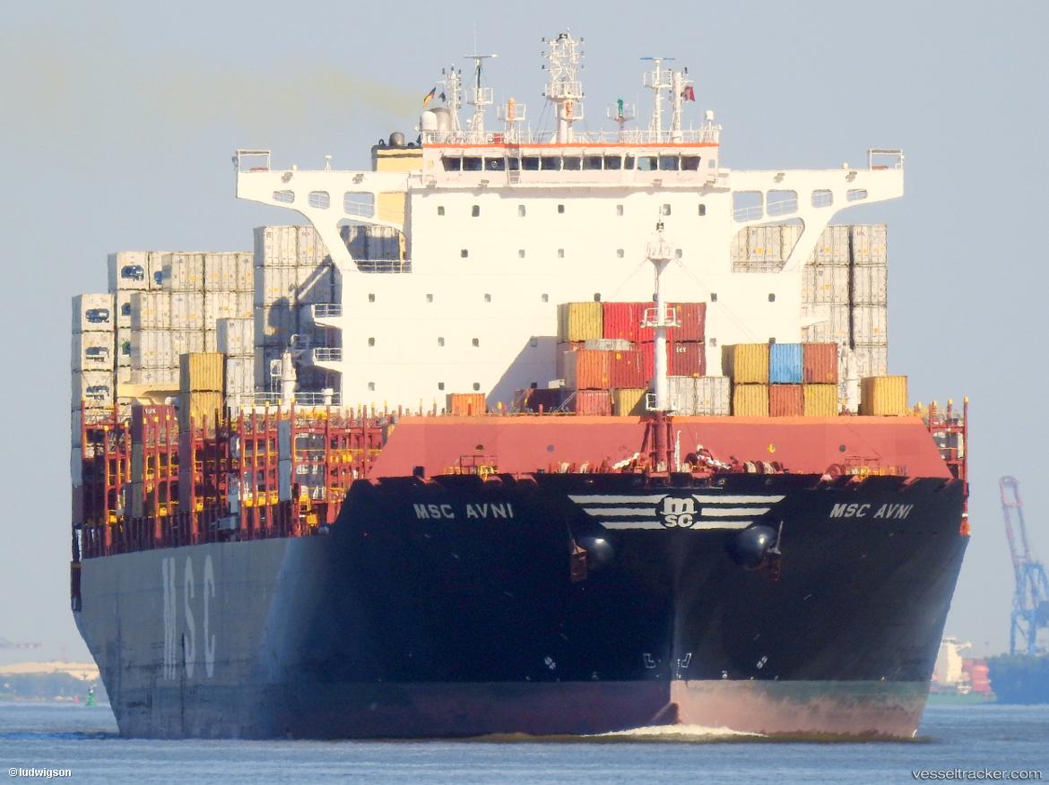 Msc-Avni - Container Ship vessel