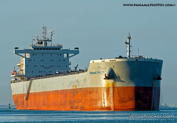 W-luna - Bulk Carrier vessel