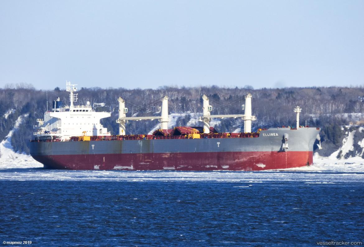 Ellirea - Bulk Carrier vessel