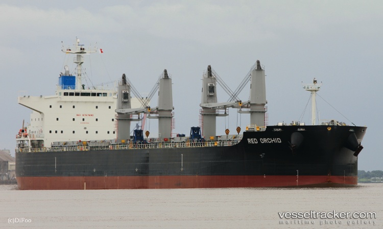 Red-Orchid - Bulk Carrier vessel