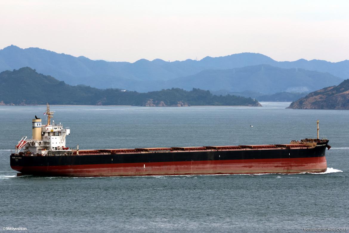 Pedhoulas-Cedrus - Bulk Carrier vessel