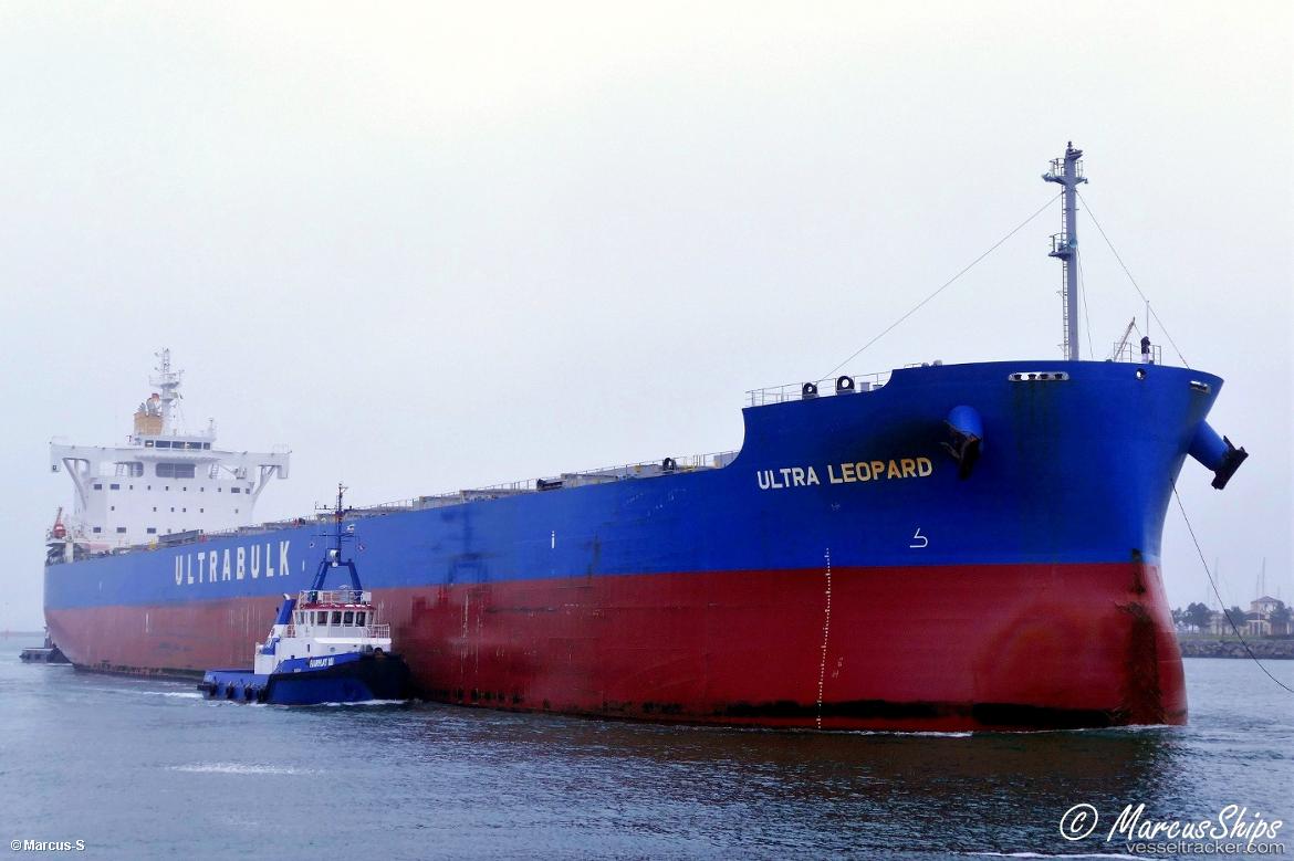 Ultra-Leopard - Bulk Carrier vessel