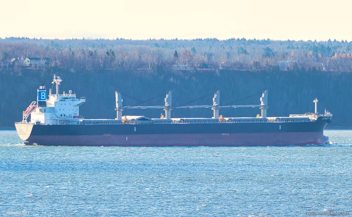 Anthea-V - Bulk Carrier vessel
