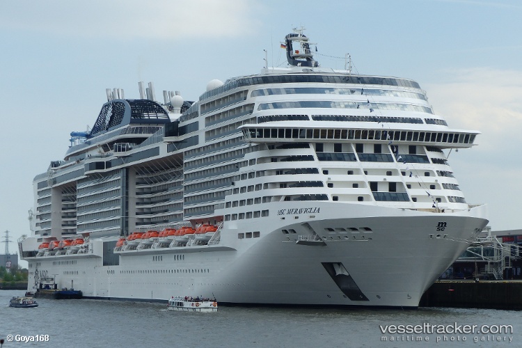 Msc-Meraviglia