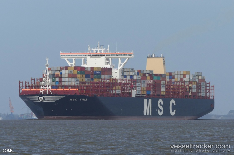 Msc-Tina