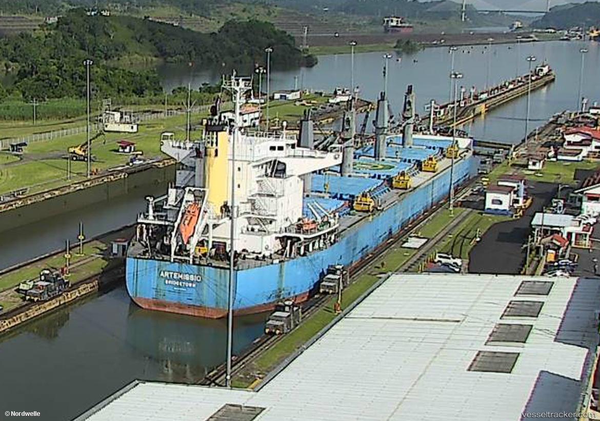 Artemissio - Bulk Carrier vessel