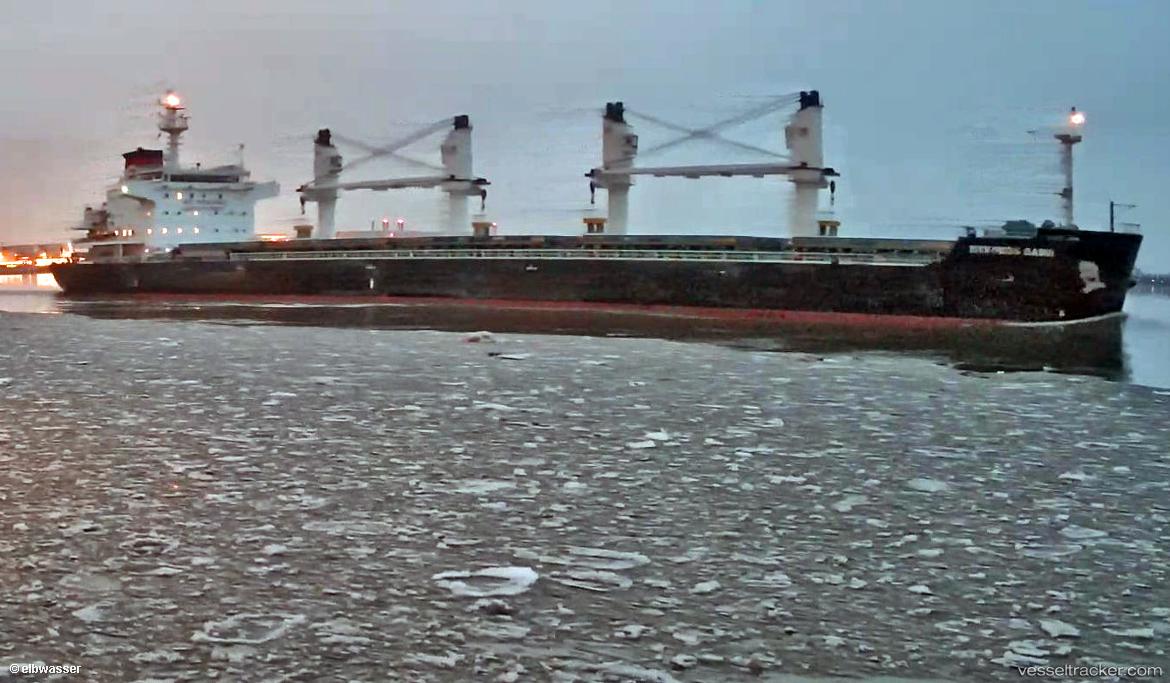 Mykonos-Dawn - Bulk Carrier vessel