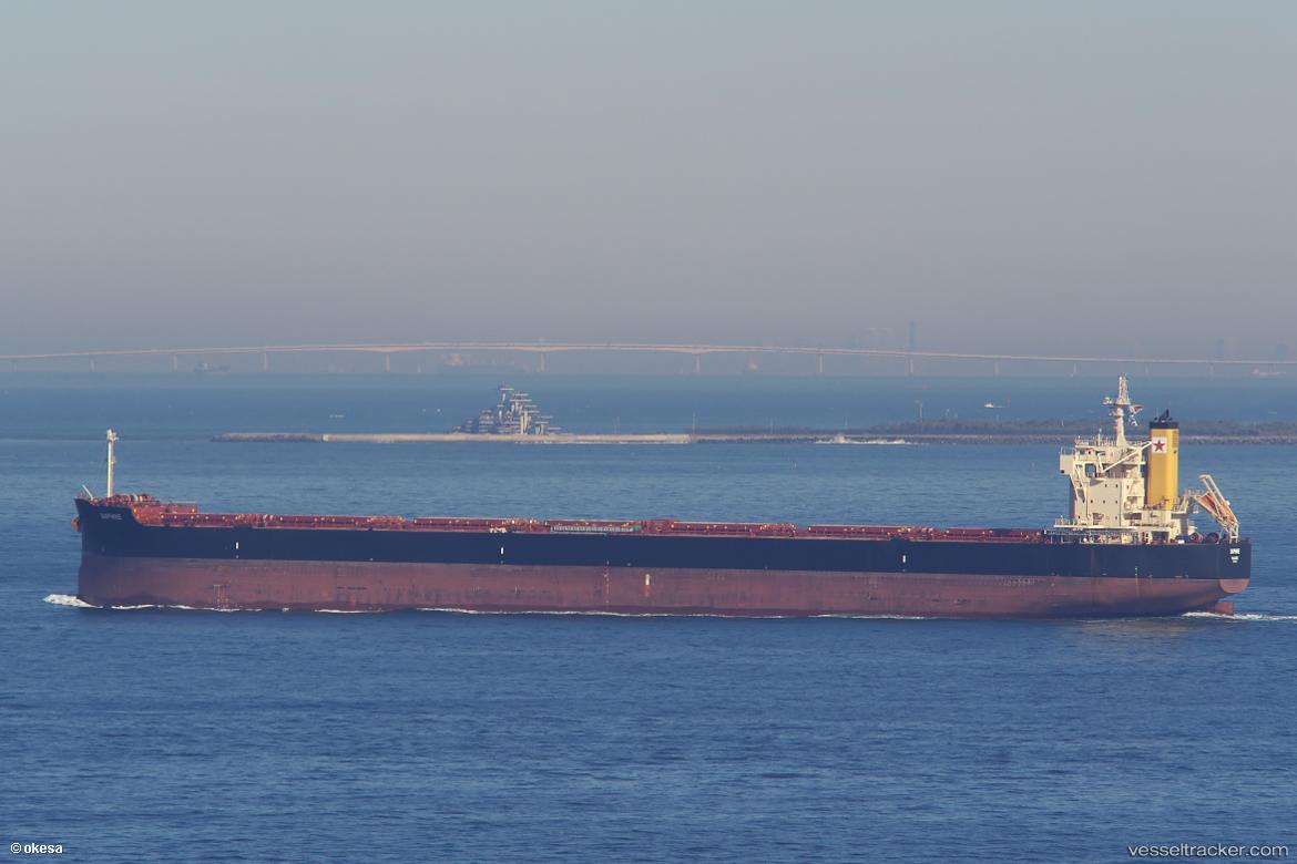 Daphne - Bulk Carrier vessel