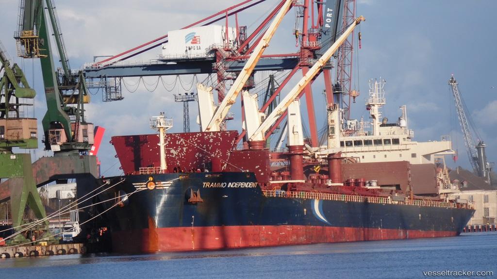 Trammo-Independent - Bulk Carrier vessel