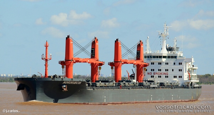 Gant-Nerea - Bulk Carrier vessel