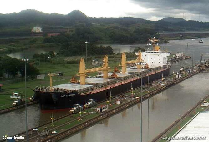 Top-Fortune - Bulk Carrier vessel