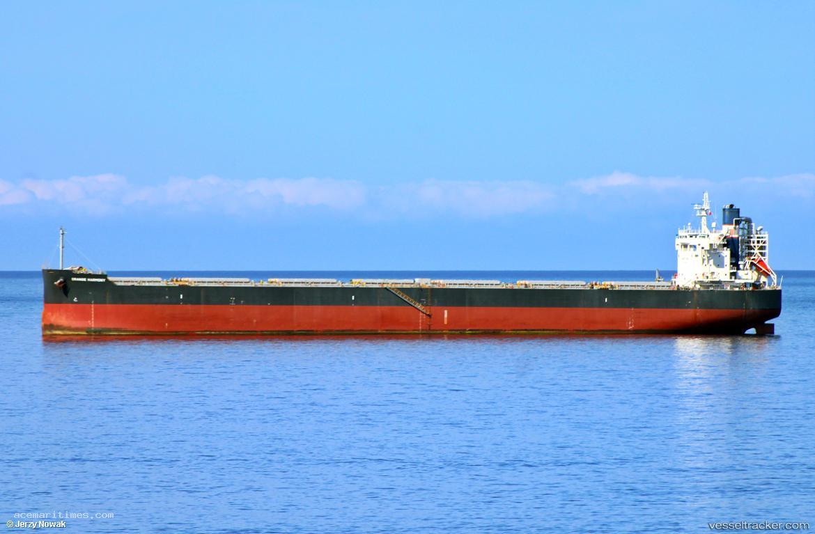 Orange-Harmony - Bulk Carrier