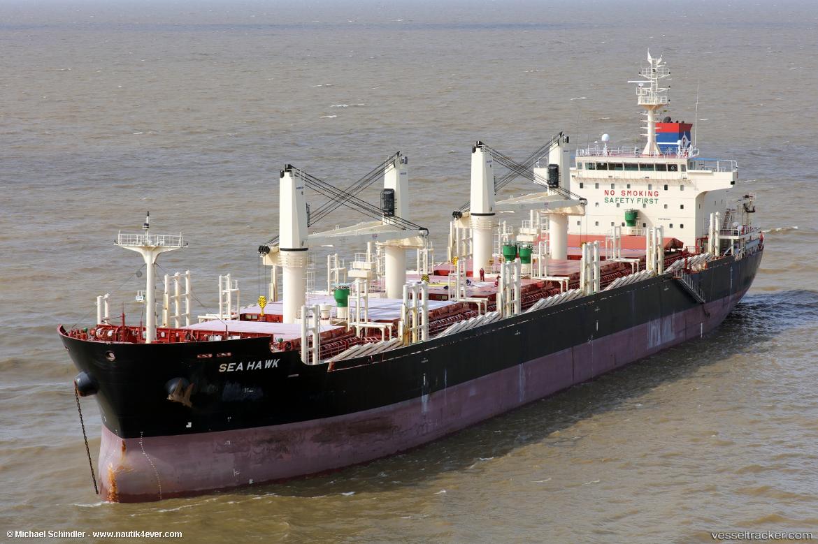 Sea-Hawk - Bulk Carrier vessel