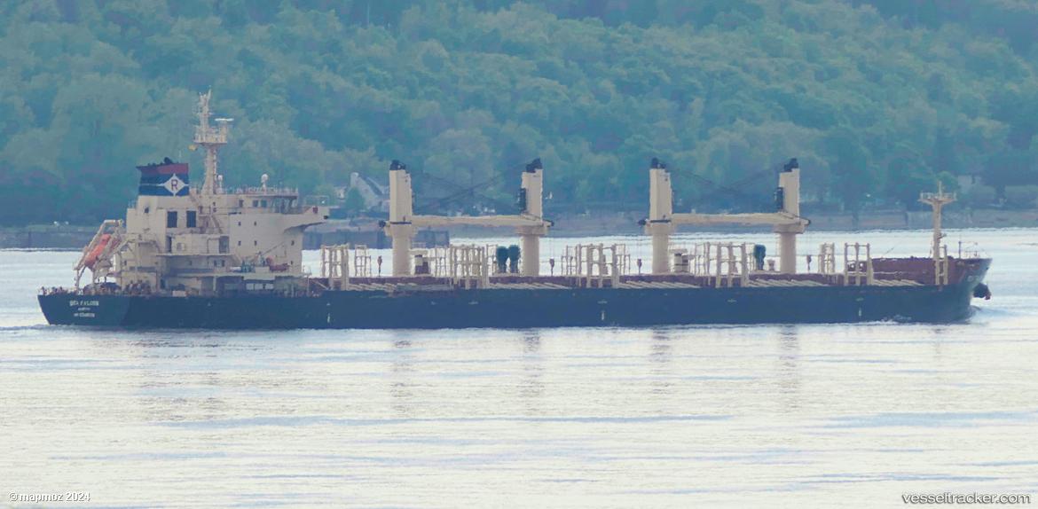 Sea-Falcon - Bulk Carrier vessel