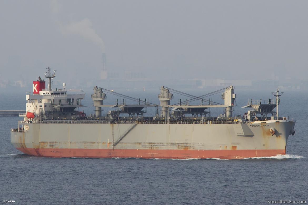 Forestal-Gaia - Wood Chips Carrier vessel