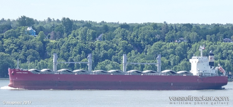 Federal-Imabari - Bulk Carrier vessel