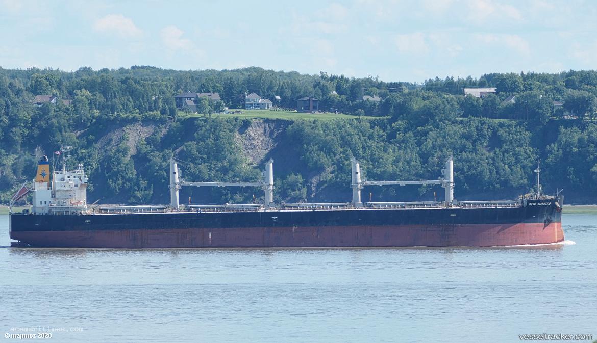 Medi-Adriatico - Bulk Carrier