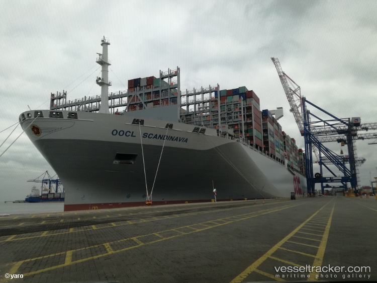 Oocl-Scandinavia - Container Ship