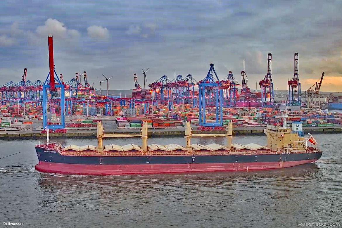 Golden-Grains - Bulk Carrier vessel