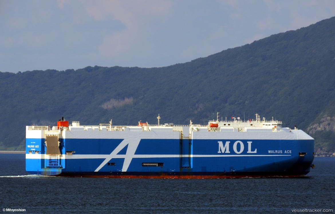 Walrus-Ace - Vehicles Carrier vessel