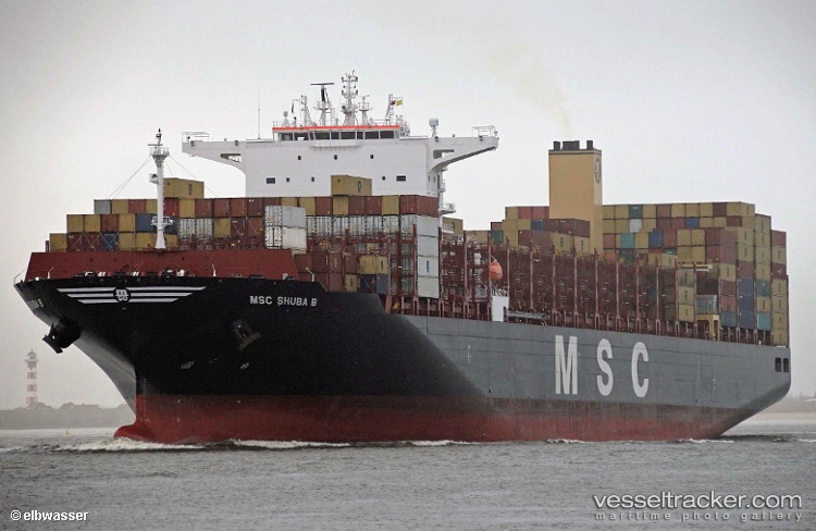 Msc-Shuba-B