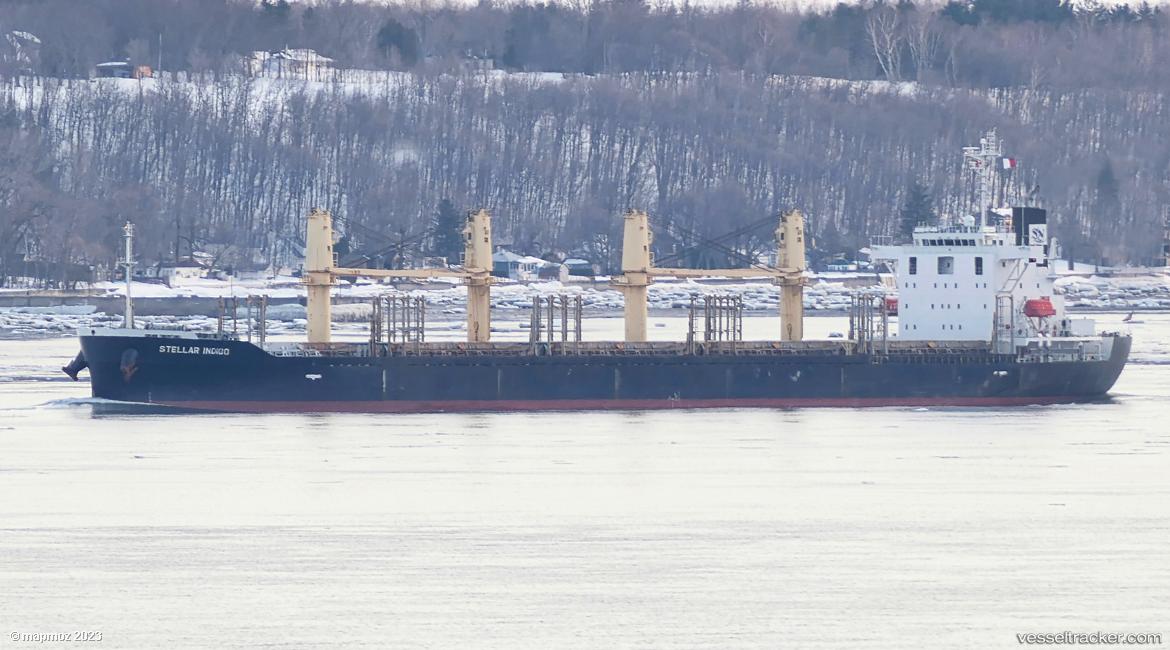 Stellar-Indigo - Bulk Carrier vessel
