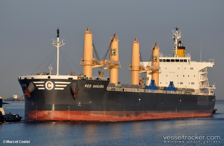 Red-Sakura - Bulk Carrier vessel