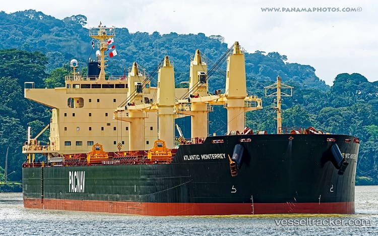 Wooyang-Ivy - Bulk Carrier vessel