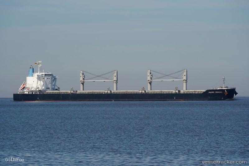 Pacific-Seagull - Bulk Carrier vessel