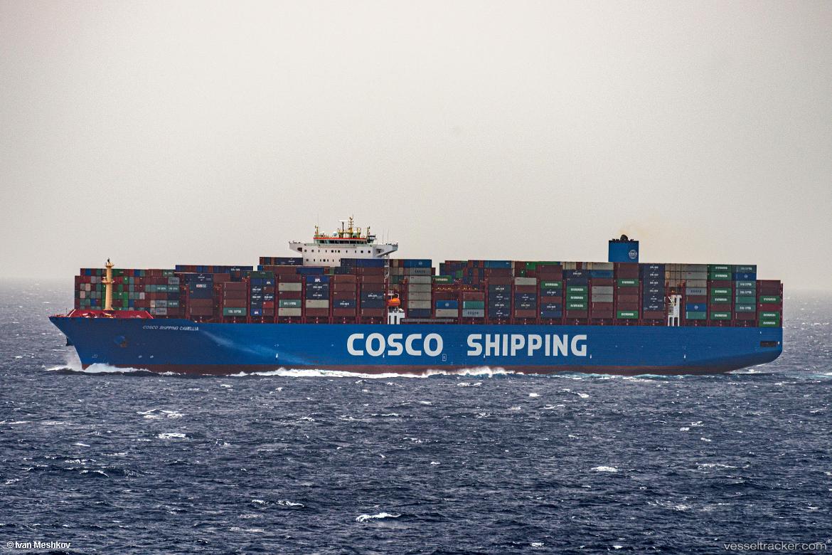 Cosco-Camellia