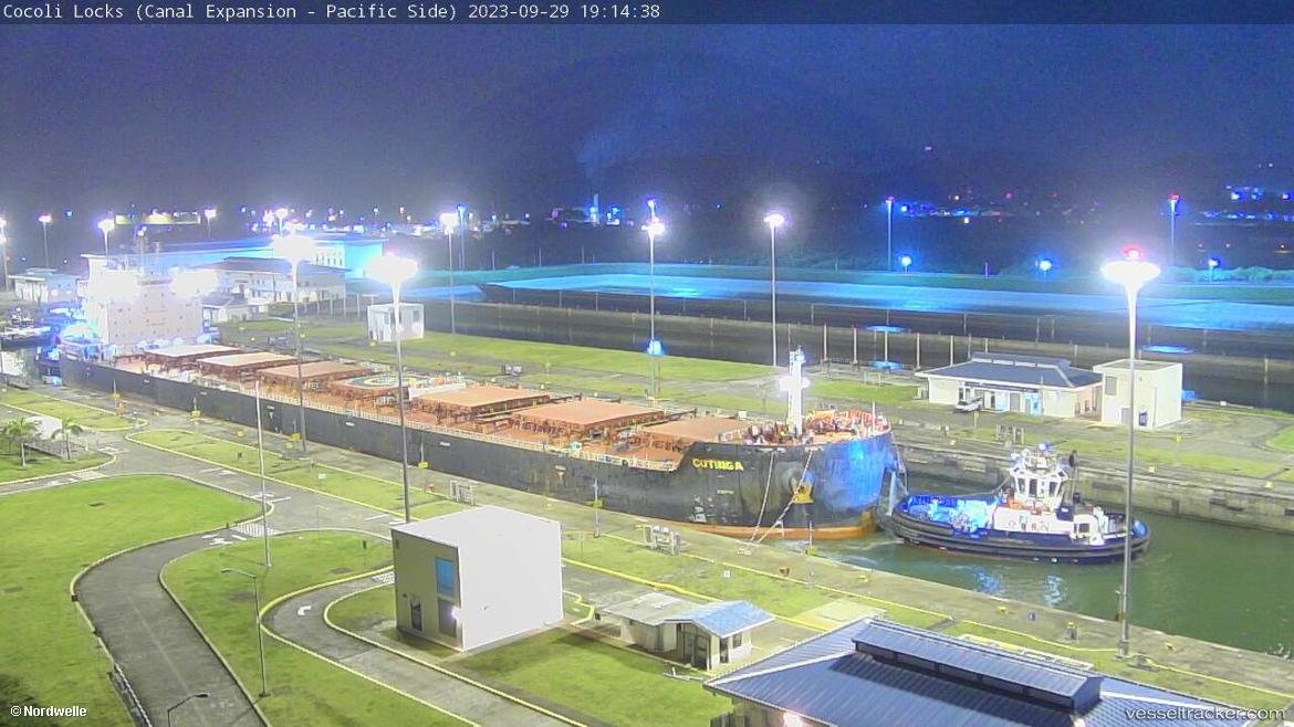 Cotinga - Bulk Carrier vessel