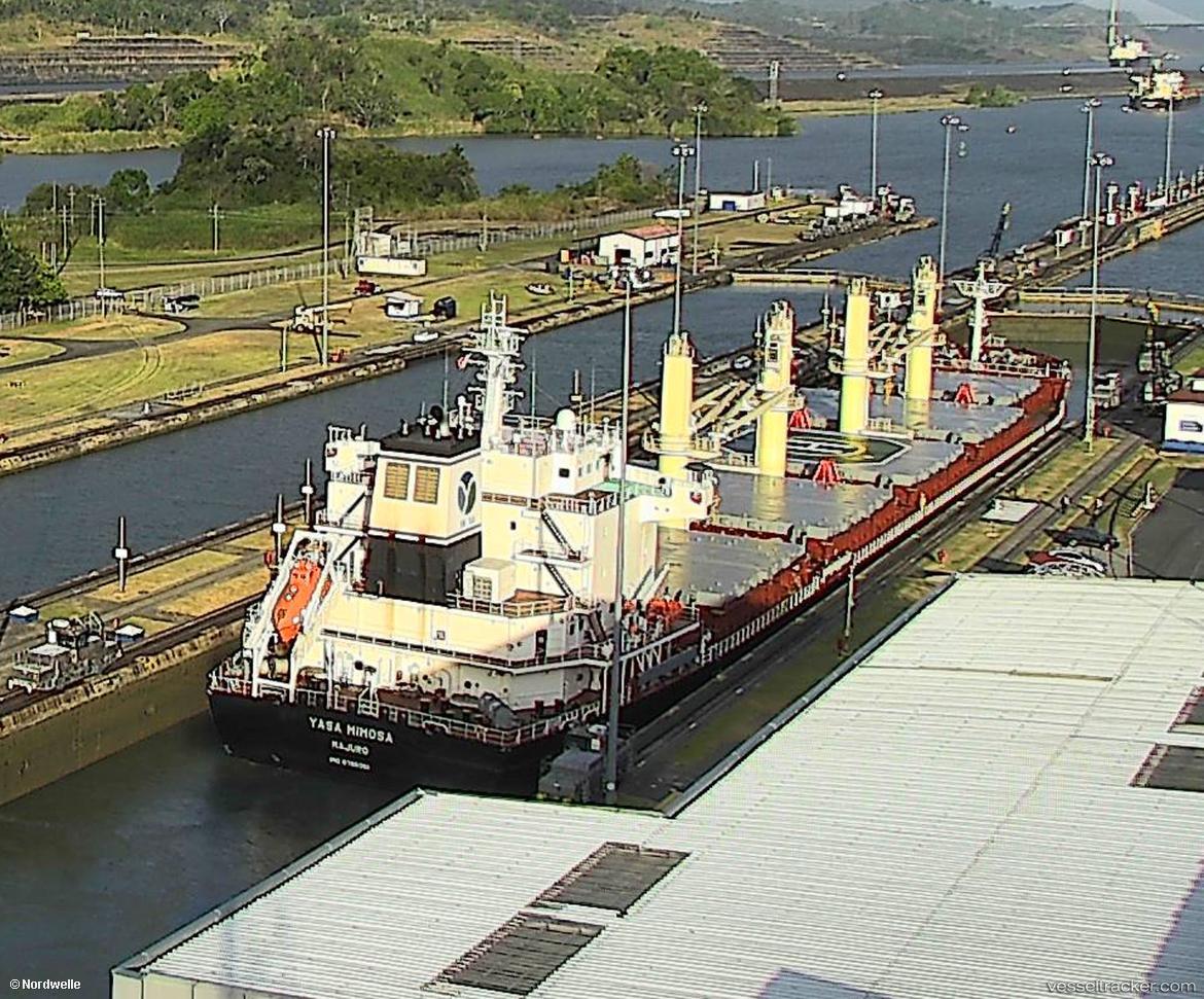 Yasa-Mimosa - Bulk Carrier vessel